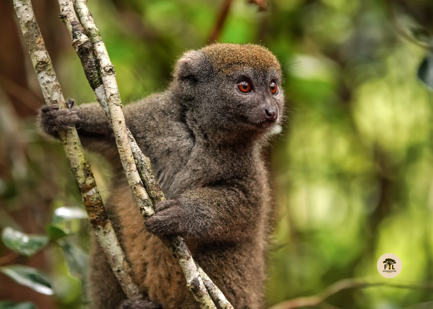 update tourisme Madagascar